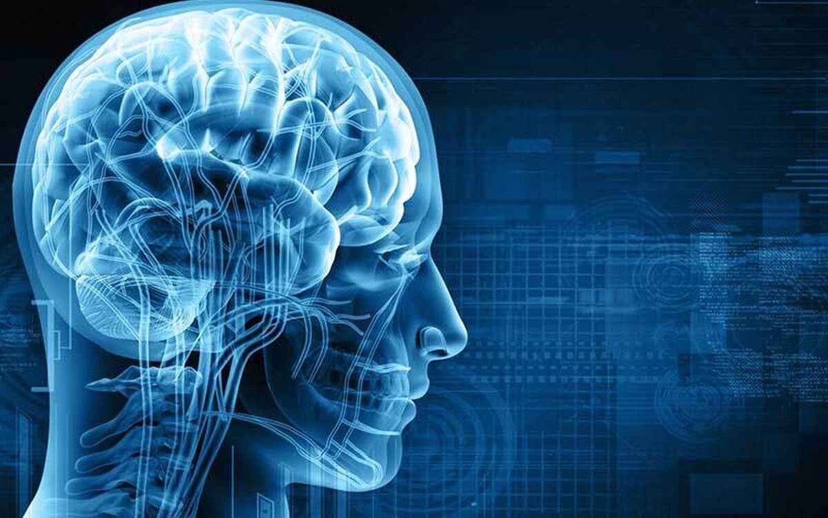 جامعی: رازهای کائنات و مغز انسان هنوز سر به مهر مانده است