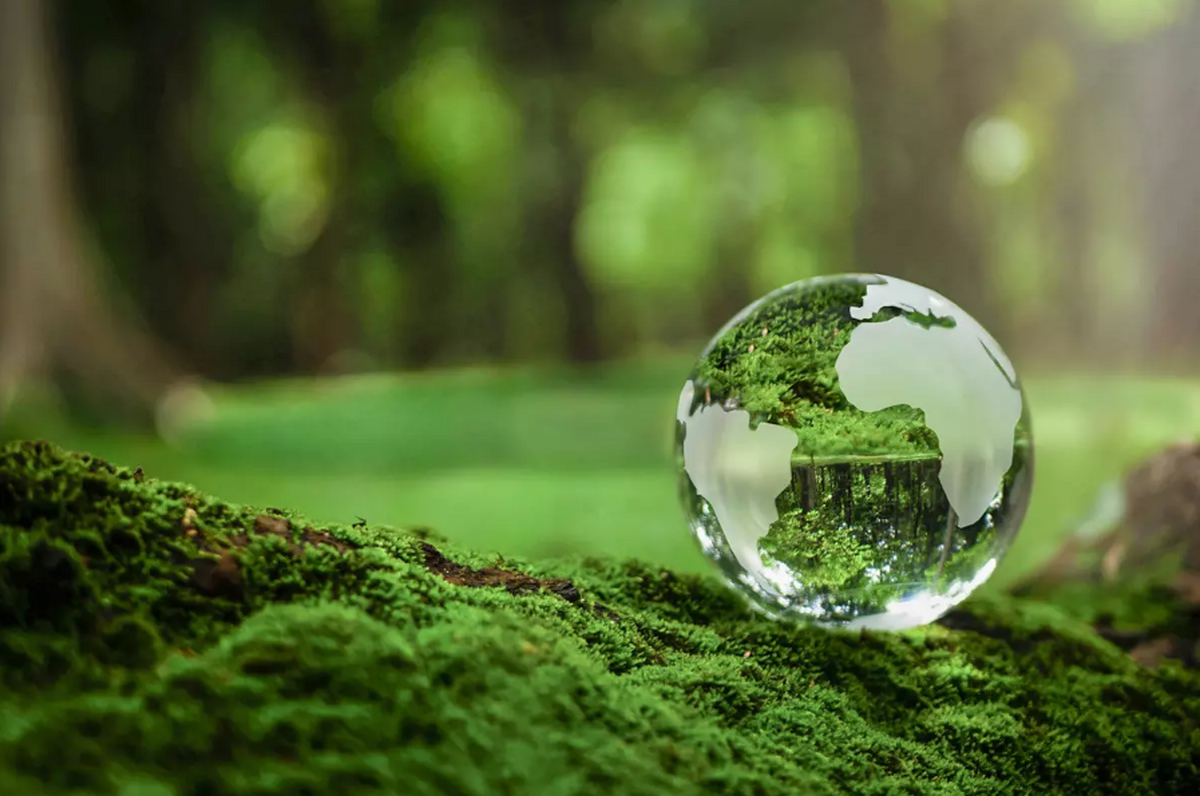 شکل‌گیری مفهوم محیط‌زیست در تفکر اجتماعی