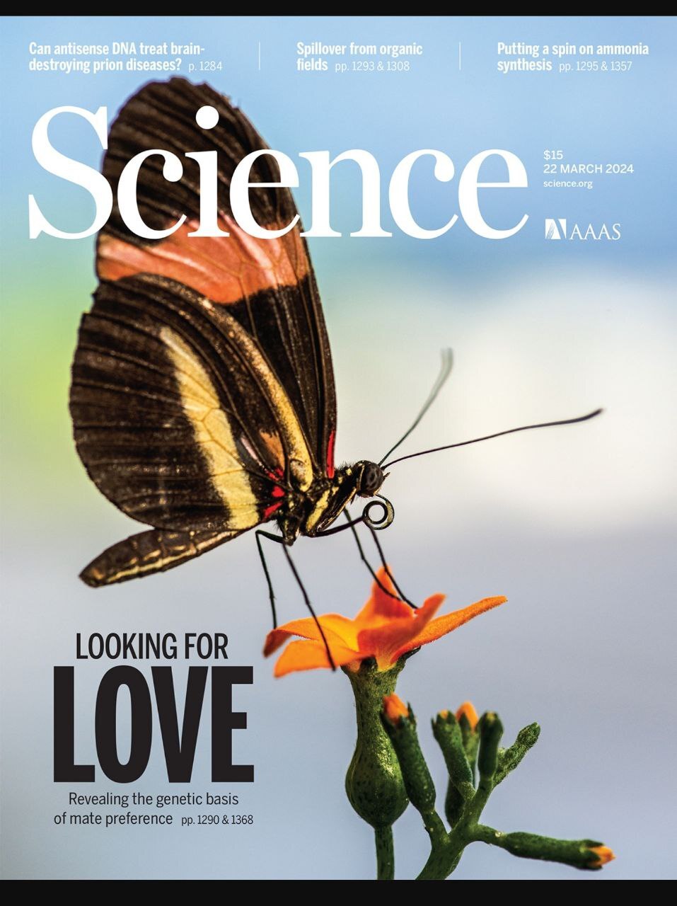 هفته چهارم مارس؛ از داستان سیارهخواران فضایی تا قابلیتهای درخشان هوش مصنوعی هفته چهارم مارس؛ از داستان سیارهخواران فضایی تا قابلیتهای درخشان هوش مصنوعی