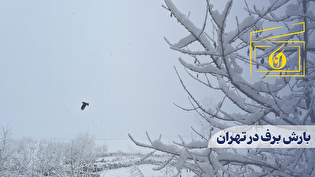 بارش برف در تهران