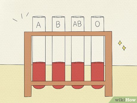 گروه خونی یا فال روزانه؛ نگاهی علمی به یک ادعای عجیب! گروه خونی یا فال روزانه؛ نگاهی علمی به یک ادعای عجیب!