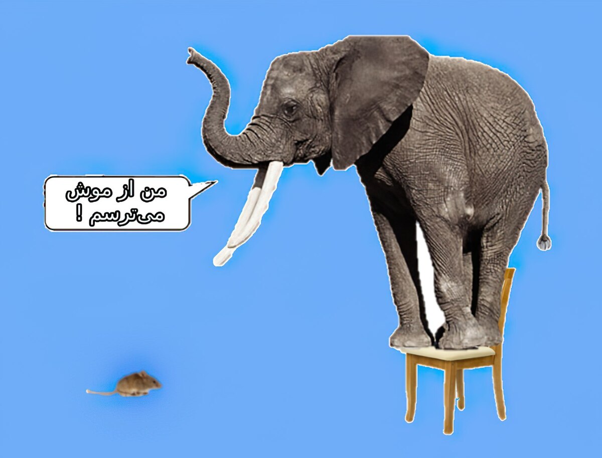 آیا فیلها واقعاً از موشها میترسند؟