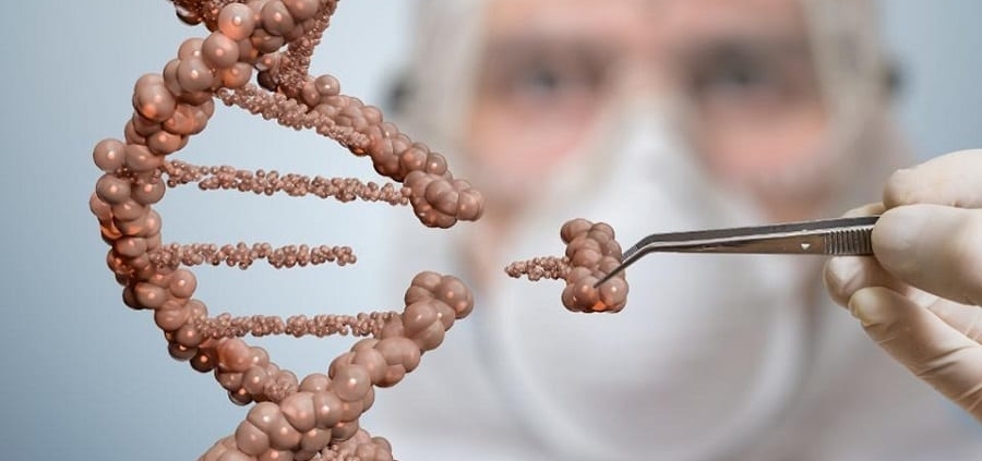 از شبیه سازی حیوانات آزمایشگاهی تا تولید داروهای نوترکیب از شبیه سازی حیوانات آزمایشگاهی تا تولید داروهای نوترکیب