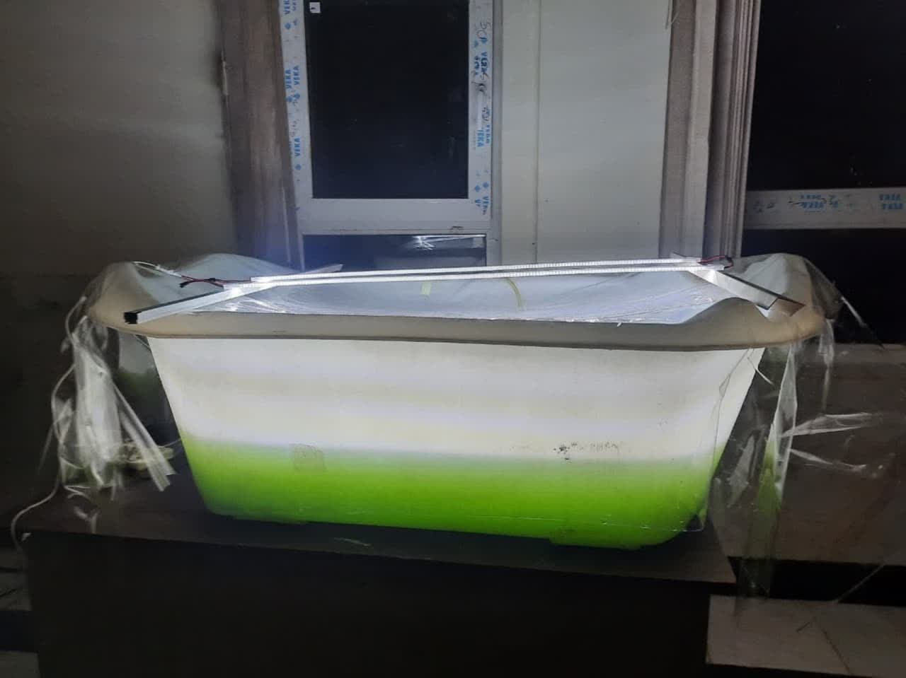 پرورش جلبک خوراکی اسپیرولینا؛ دستاوردی کاربردی در تولید مواد غذایی و دارویی پرورش جلبک خوراکی اسپیرولینا؛ دستاوردی کاربردی در تولید مواد غذایی و دارویی