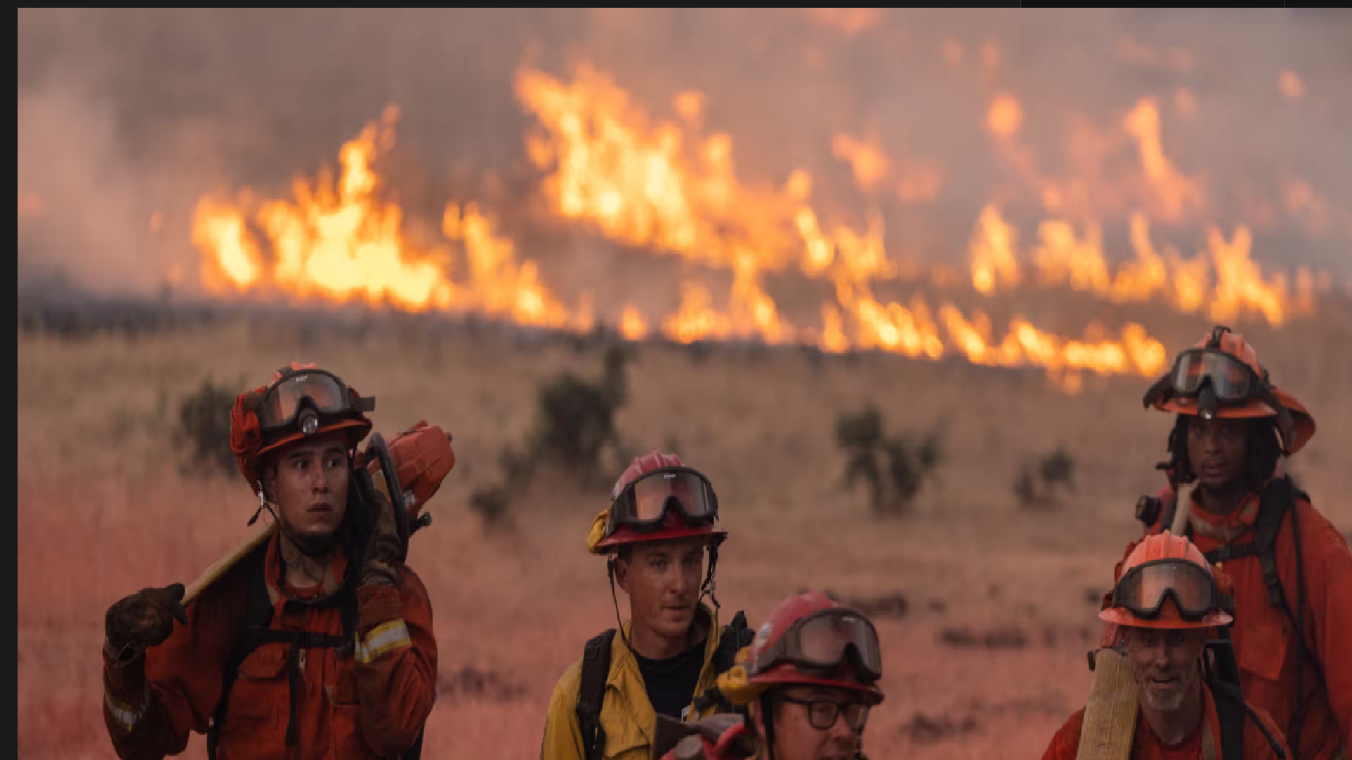 پرسه خانهبهخانه آتش در لسآنجلس/ سوءمدیریت تقصیر کیست؟ پرسه خانهبهخانه آتش در لسآنجلس/ سوءمدیریت تقصیر کیست؟