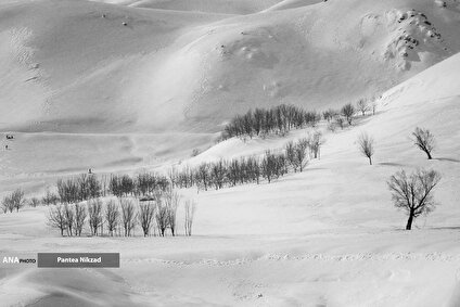 زمستان است...