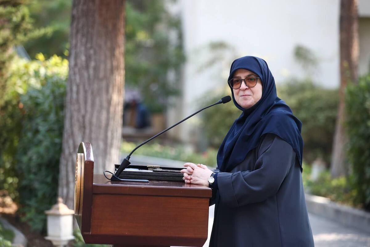 مهاجرانی: وزیر علوم مأمور بررسی محرومیت پذیرفتهشدگان کنکور ۱۴۰۳ از ۱۴۰۴ تاکنون به مردم لس آنجلس کمکی نکردهایم