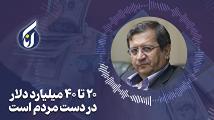 وزیر اقتصاد: ۲۰ تا ۴۰ میلیارد دلار در دست مردم است