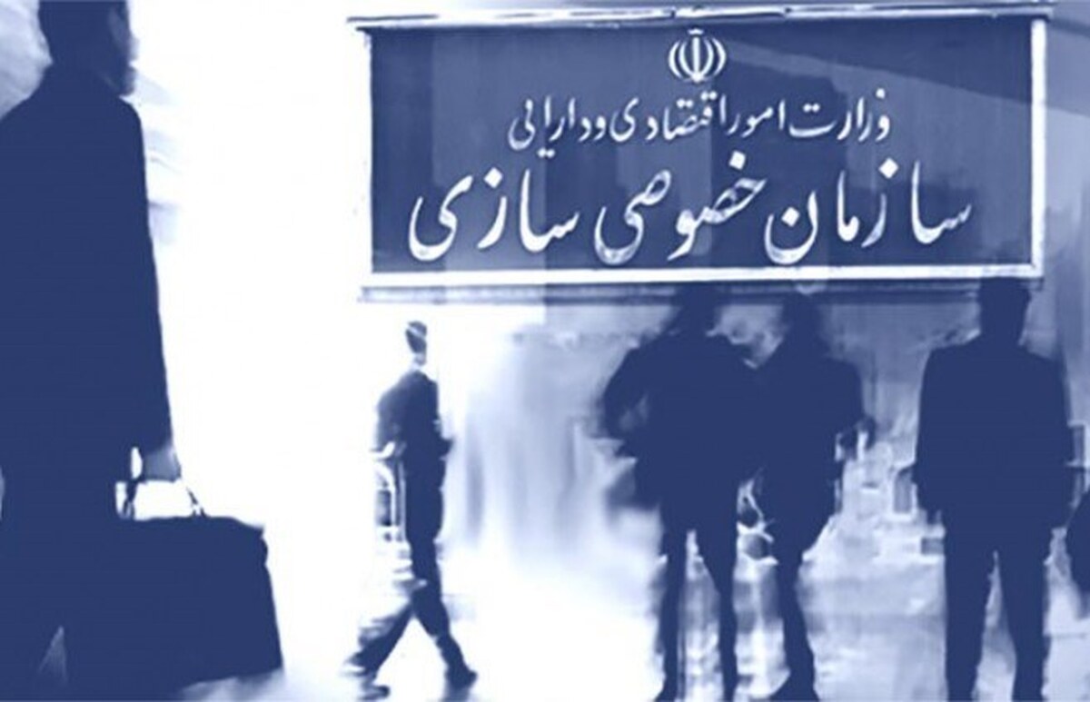 مدیران دولتی از واگذاری ترس دارند/ نبود ضمانت اجرایی چالش واگذاری شرکتهای دولتی