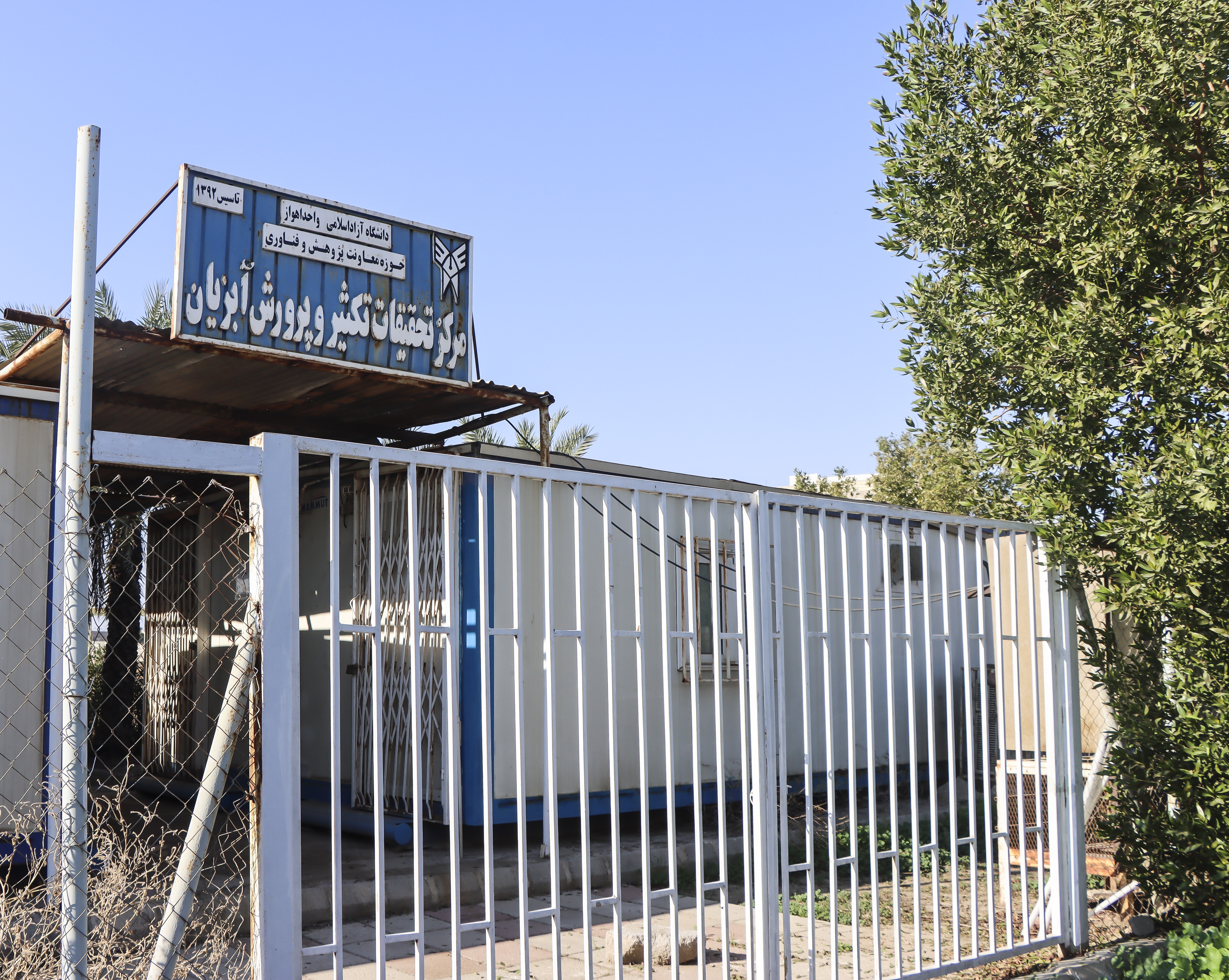 تبدیل دانشگاه آزاد اهواز به قطب ماهیان زینتی غرب کشور؛ طرح درآمدزای جدید با سرمایه یک میلیارد تومانی کلید خورد