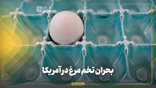 بحران تخم مرغ در آمریکا