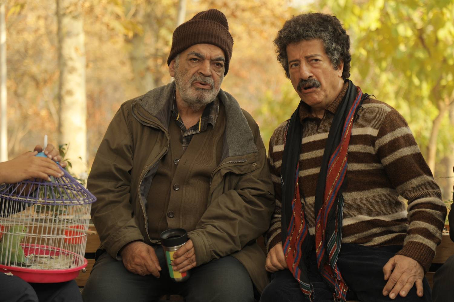 تلاش برای گشودن یک فضای تنفس خانوادگی با طنز شیرین تلاش برای گشودن یک فضای تنفس خانوادگی با طنز شیرین