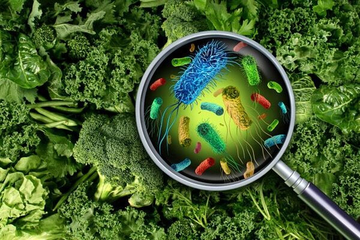 رویکردی جدید در تهیه واکسنهای نوترکیب برای پیشگیری از مسمومیت غذایی