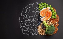 تقویت حافظه با انجام روزه داری صحیح