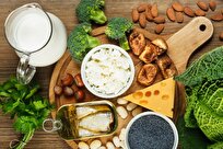 لزوم نگهداری صحیح مواد غذایی  ویژه ماه مبارک رمضان