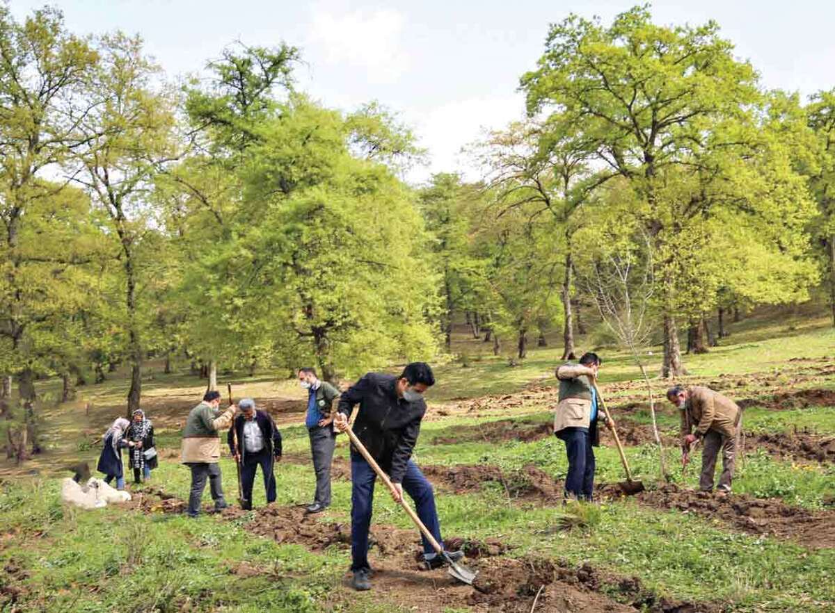 وفاق و همدلی برای حفظ منابع طبیعی