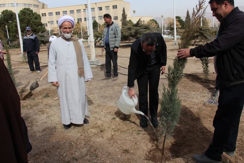 کاشت درخت نیازمند همت جمعی؛ همه در حفظ محیط زیست مشارکت کنند کاشت درخت نیازمند همت جمعی؛ همه در حفظ محیط زیست مشارکت کنند