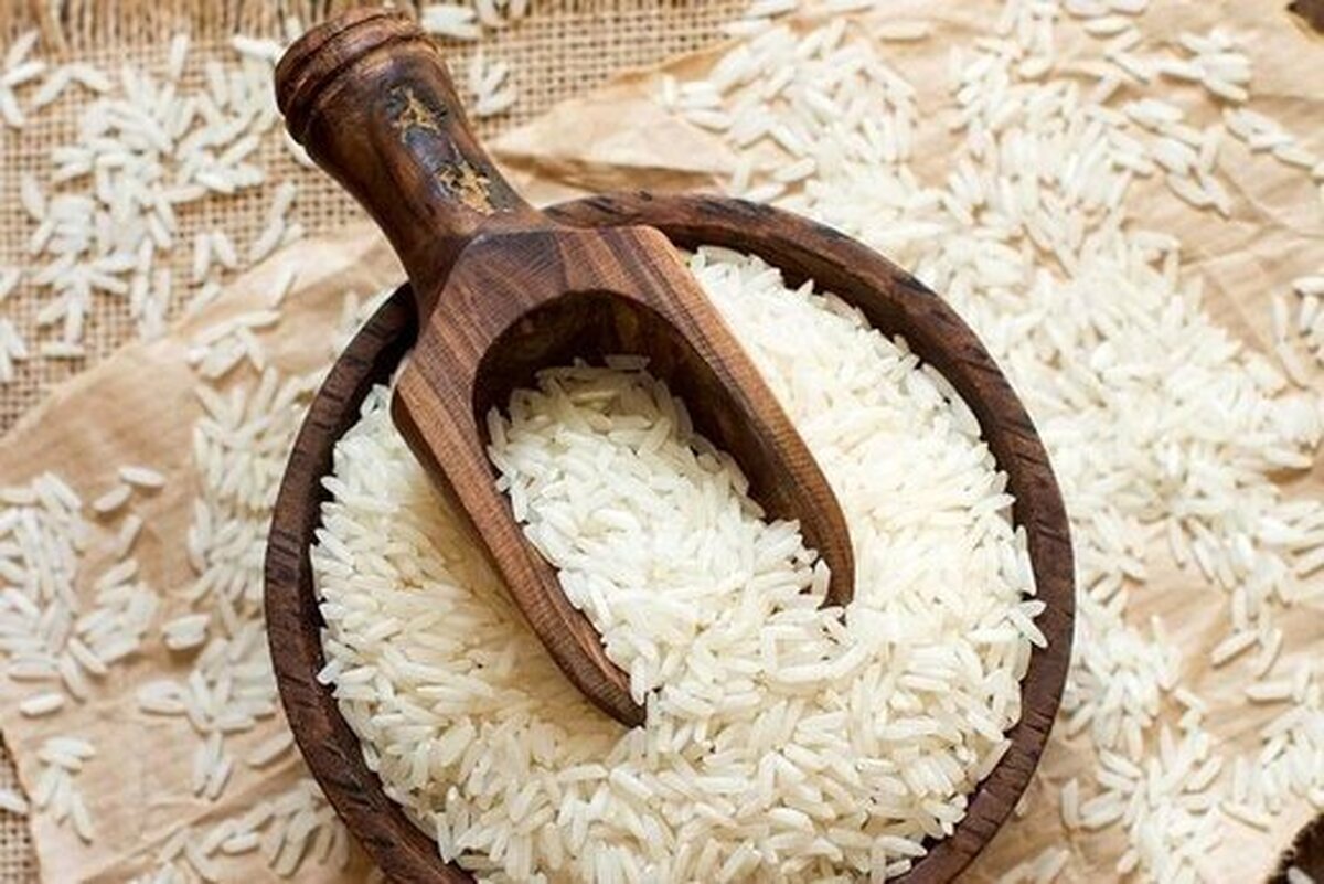 مصوبه ستاد تنظیم بازار، دلیل توقف عرضه برنج ایرانی در میادین میوه و تره‌بار است