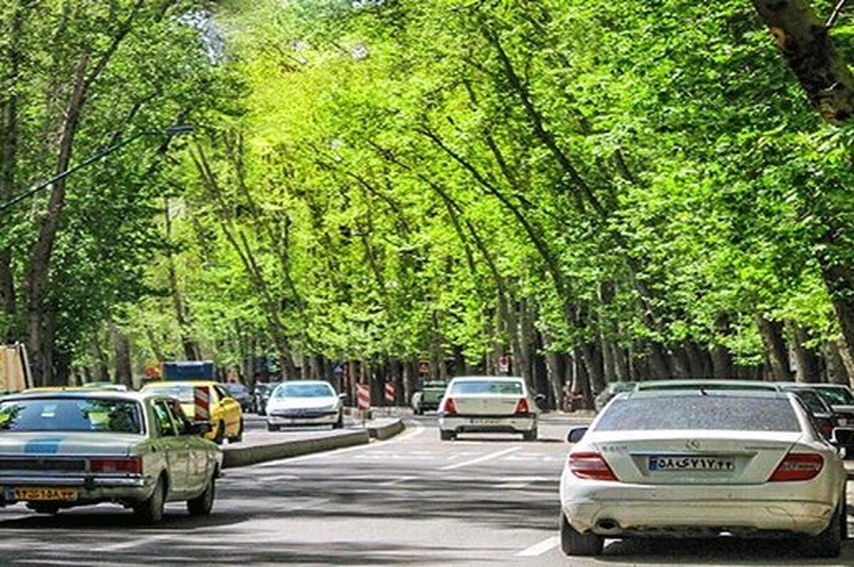 جریمه ۱۷۰ میلیارد تومانی برای خشک کردن عمدی ۱۳ درخت خیابان ولیعصر