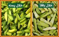خطر جایگزینی خلال باقلا به جای خلال پسته در برخی فرآورده‌های غذایی