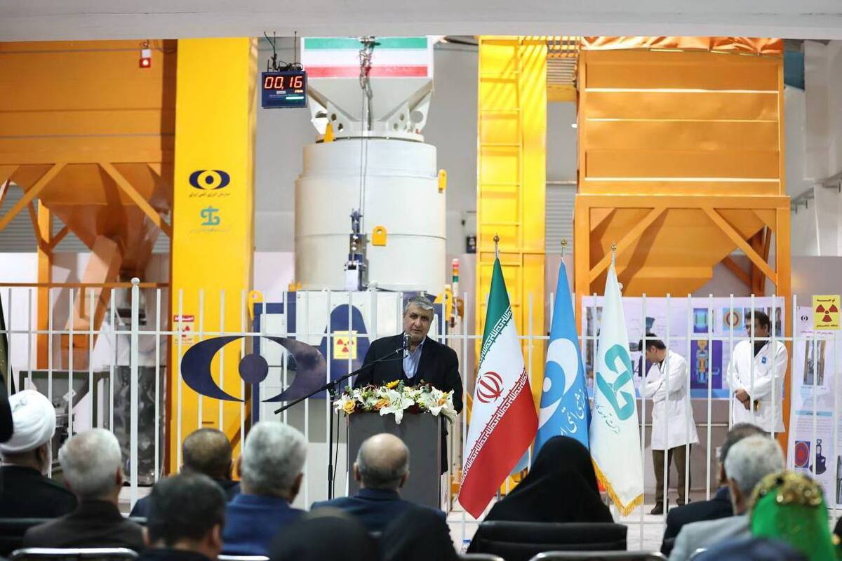 اسلامی: سامانه پرتودهی محصولات کشاورزی ظرفیتی برای مراکز تحقیقاتی و دانشگاهها ایجاد کرد