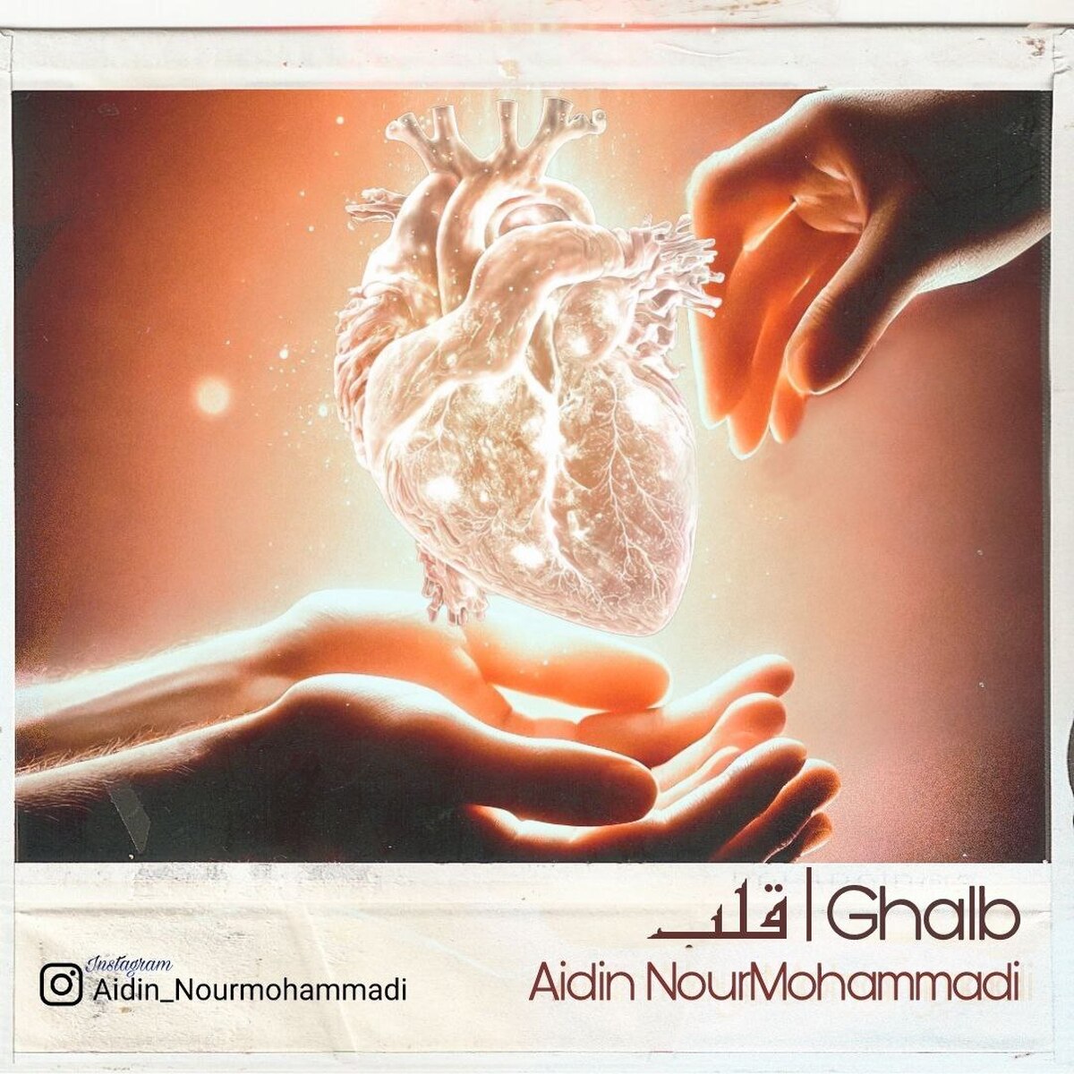 دوئت «قلب» به اهدا کنندگان و پیوند دهندگان اعضا تقدیم شد+صوت