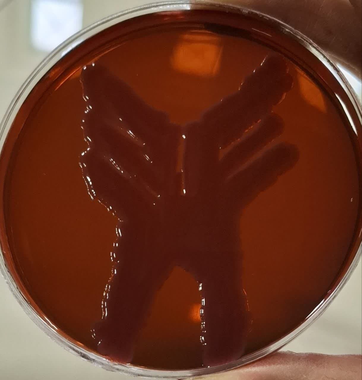 نگاه هفته؛ نگاه هفته؛