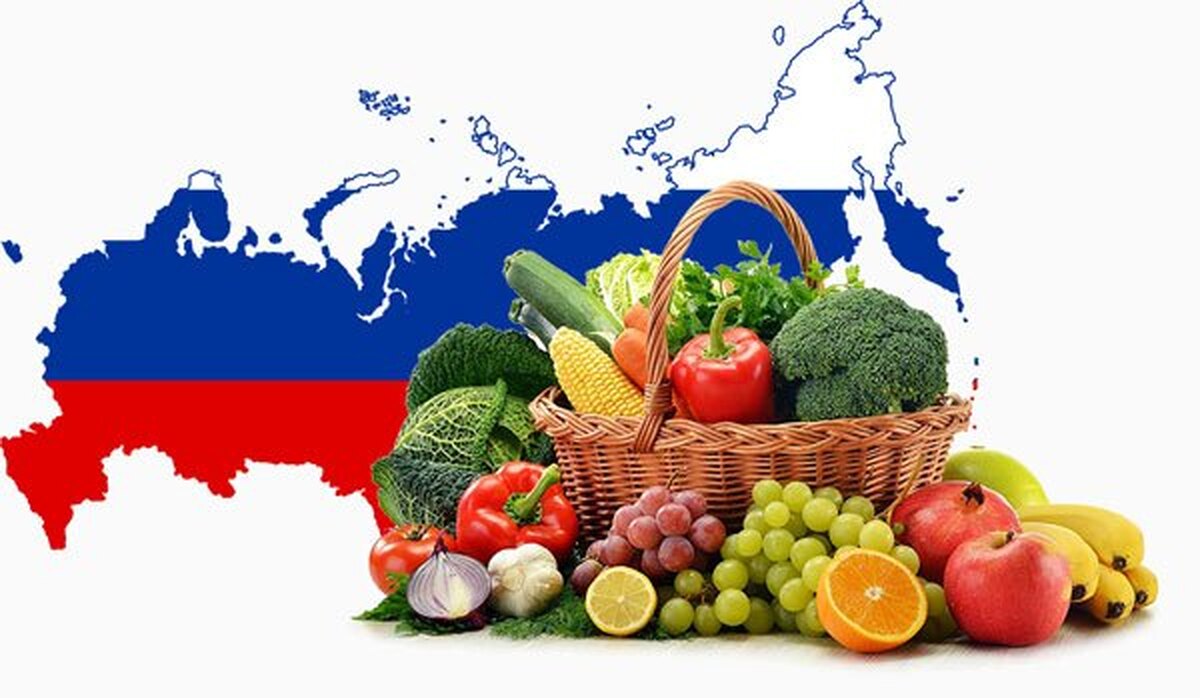 چرا مبادلات ایران با روسیه ناچیز است؟