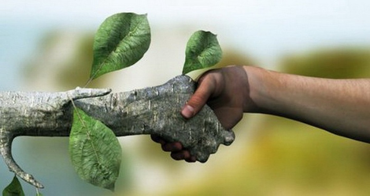 فرهنگ‌ سازی و برخورد قضایی راه ‌حل کاهش تخلفات زیست ‌محیطی