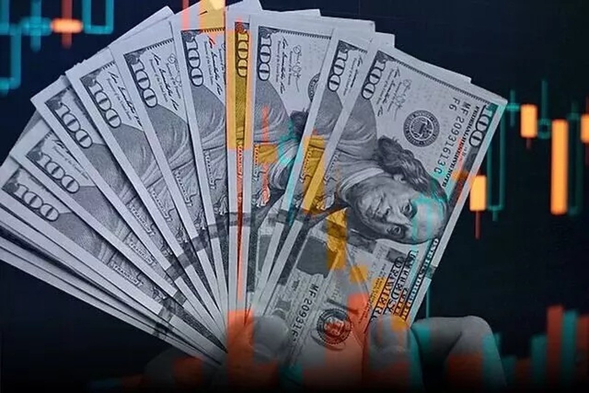 ماجرای ایجاد بازار ارز تجاری؛ چرا دولت به حذف ارز نیمایی اقدام کرد؟