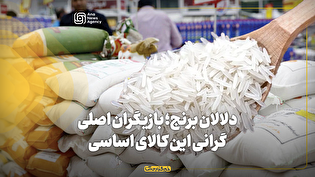 دلالان برنج؛ بازیگران اصلی گرانی این کالای اساسی