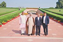 تأکید دبیر شورای عالی انقلاب فرهنگی بر پیوندهای تمدنی ایران و هند