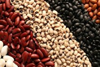 سبزیجات و حبوبات بیشترین گروه تورمی در دی ماه/ تورم سالیانه ۳۲.۲ درصد بخش زراعت، باغداری و دامداری سنتی