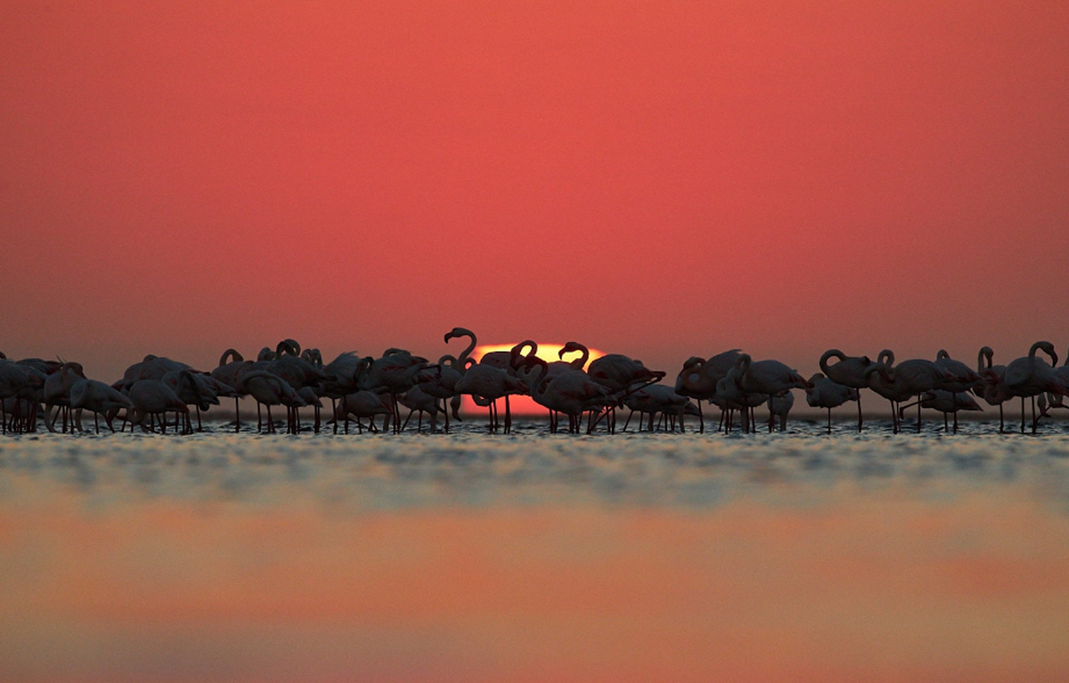 تلنگری جامعه‌شناختی به بحران آب