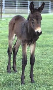 15 اردیبهشت در دنیای علم چه خبر؟ 15 اردیبهشت در دنیای علم چه خبر؟