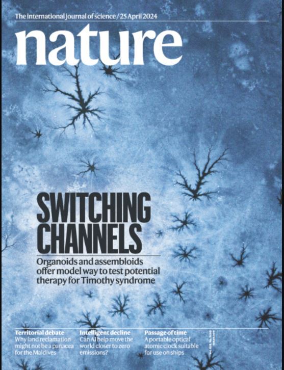 هفته اول مه؛ از سازگاری ماهیهای کنجکاو با طبیعت تا درهمتنیدگی کوانتومی هفته اول مه؛ از سازگاری ماهیهای کنجکاو با طبیعت تا درهمتنیدگی کوانتومی