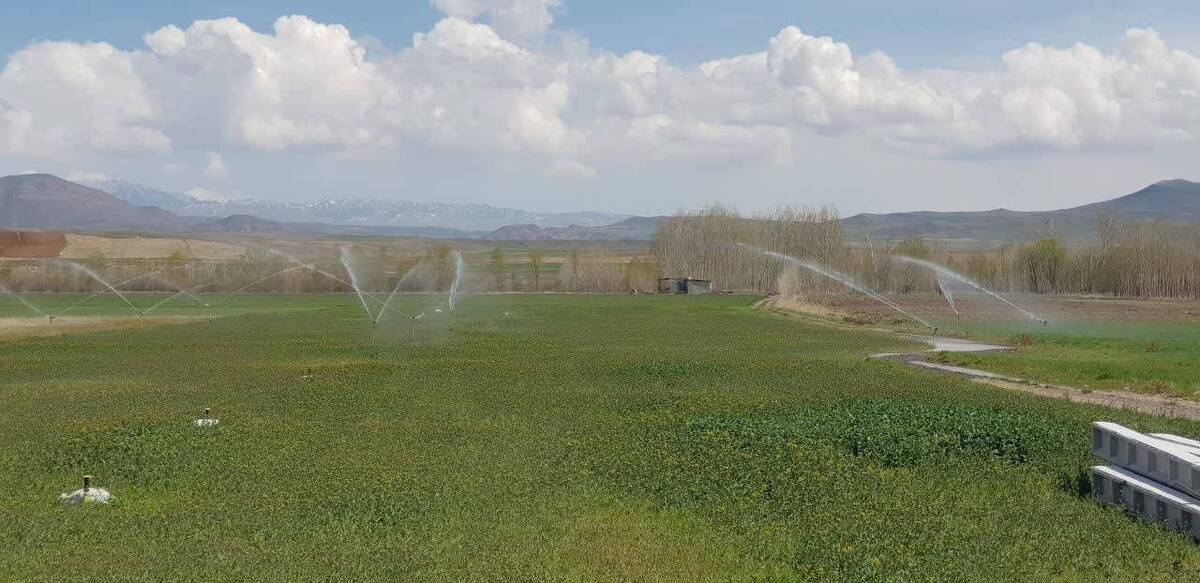 تجهیز بیش از ۱۰۰۰ هکتار زمین کشاورزی اردبیل به سیستم آبیاری تحت فشار