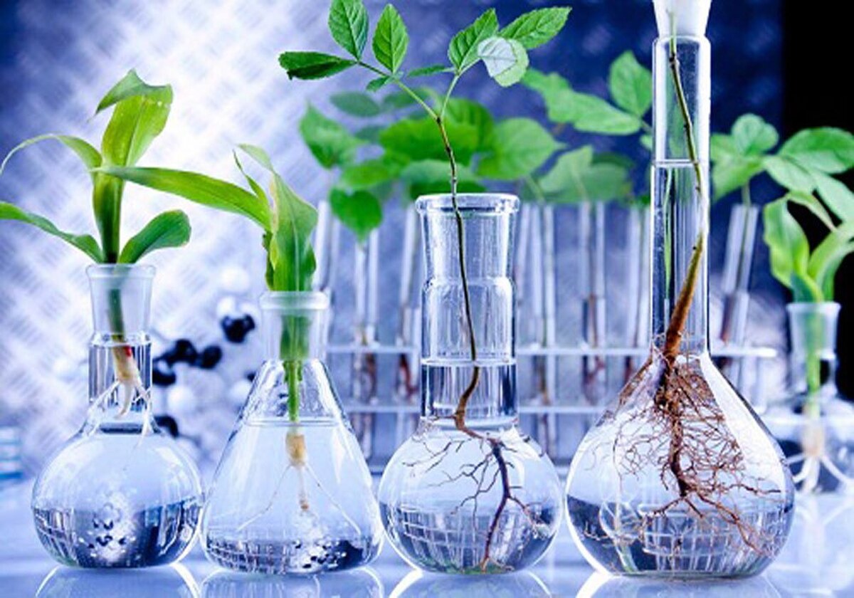 ۶۰ پروژه توسعه فناوری زیستی تامین مالی شد