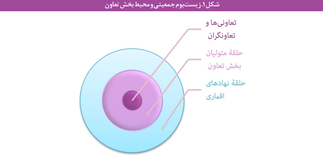 موانع و چالشهای روابط بینسازمانی متولیان بخش تعاونی موانع و چالشهای روابط بینسازمانی متولیان بخش تعاونی
