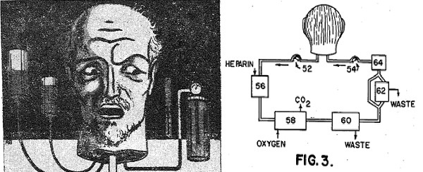 ۳۰ اردیبهشت در دنیای علم چه خبر؟