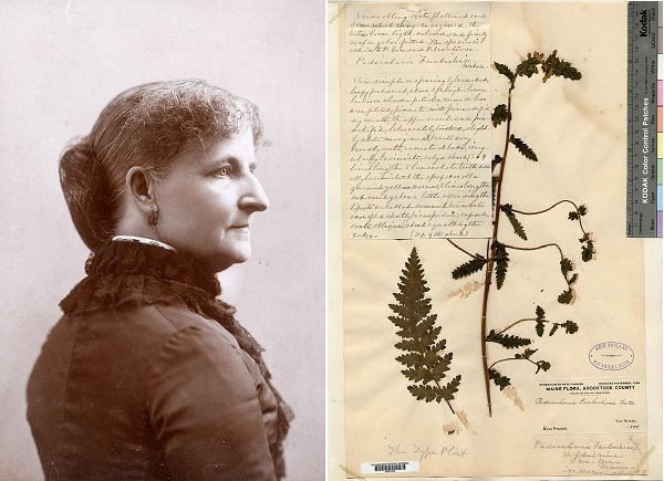 ۳۰ اردیبهشت در دنیای علم چه خبر؟