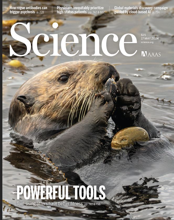 هفته سوم مه؛ از «تبعیض سنگرایی» تا «الگو گرفتن از هفته سوم مه؛ از «تبعیض سنگرایی» تا «الگو گرفتن از