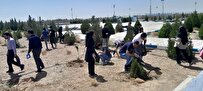 اجرای پویش سبز جمعآوری آلایندههای محیط زیستی
