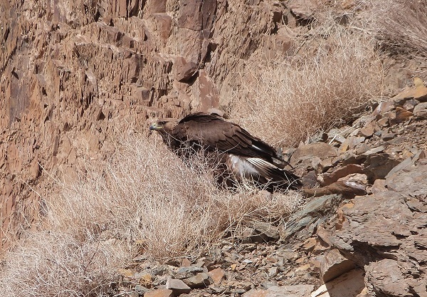 شکاف هستی با مرزهای محیط زیست شکاف هستی با مرزهای محیط زیست