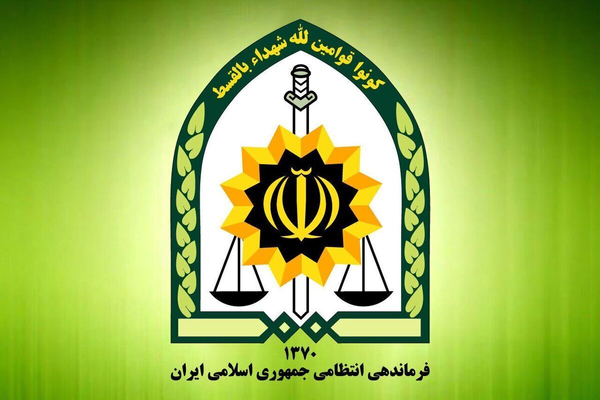اطلاعیه پلیس درباره ویدیوی درگیری بازیگر زن و یک مامور؛ مربوط به حجاب نبود