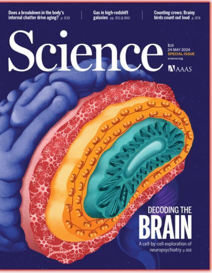 هفته چهارم مه؛ از «معمای تفکر» تا «تصویربرداری تغییرات خورشید طی ۱۱ سال» هفته چهارم مه؛ از «معمای تفکر» تا «تصویربرداری تغییرات خورشید طی ۱۱ سال»