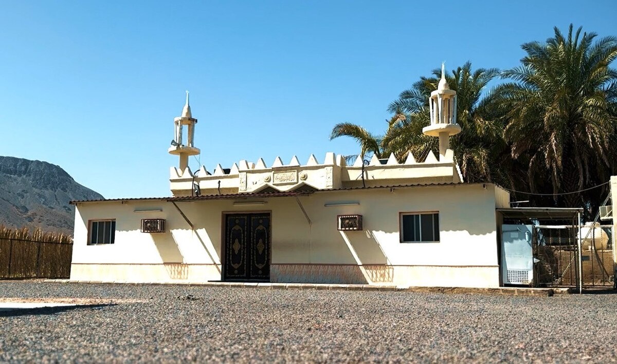 آنچه باید درباره حفر چاه به دست امام علی (ع) بدانید+ فیلم
