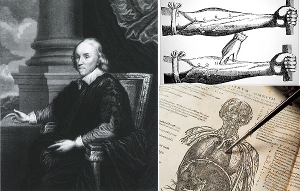 ۱۴ خرداد در دنیای علم چه خبر؟ ۱۴ خرداد در دنیای علم چه خبر؟