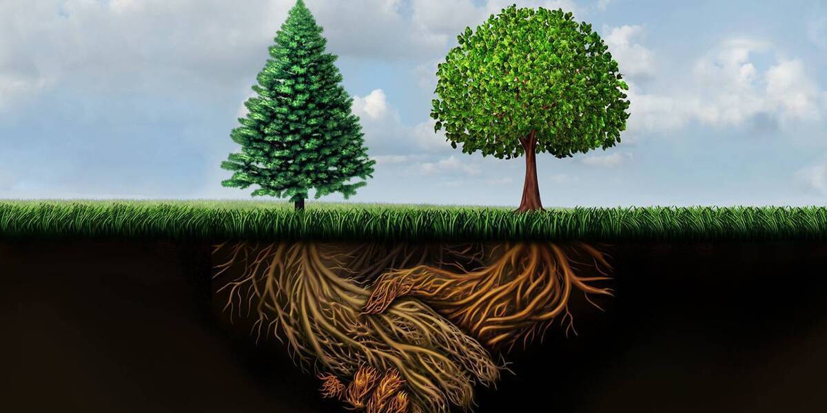 حقایقی که باید در مورد کره زمین بدانیم/ چرا مدیون نهنگها هستیم؟! حقایقی که باید در مورد کره زمین بدانیم/ چرا مدیون نهنگها هستیم؟!