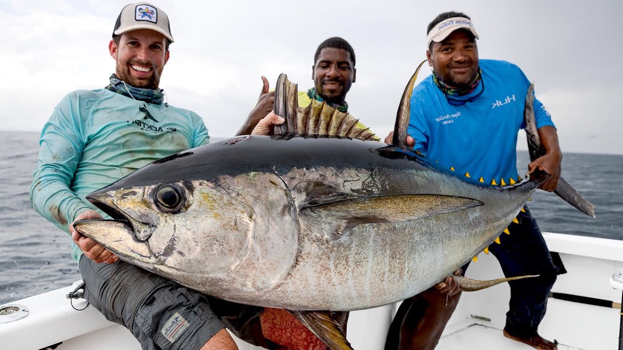 حقایقی که باید در مورد کره زمین بدانیم/ چرا مدیون نهنگها هستیم؟! حقایقی که باید در مورد کره زمین بدانیم/ چرا مدیون نهنگها هستیم؟!